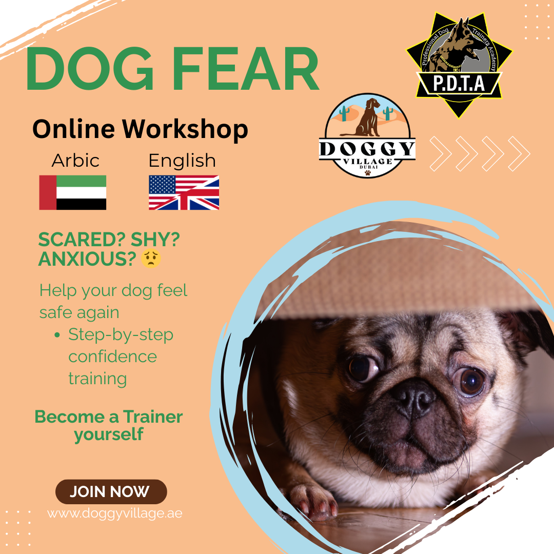 Dog Fear - Online Workshop