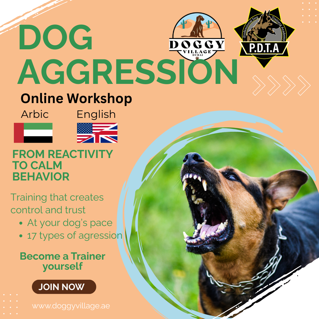 Dog aggression - Online workshop