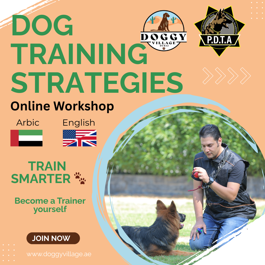 Dog Training Strategies