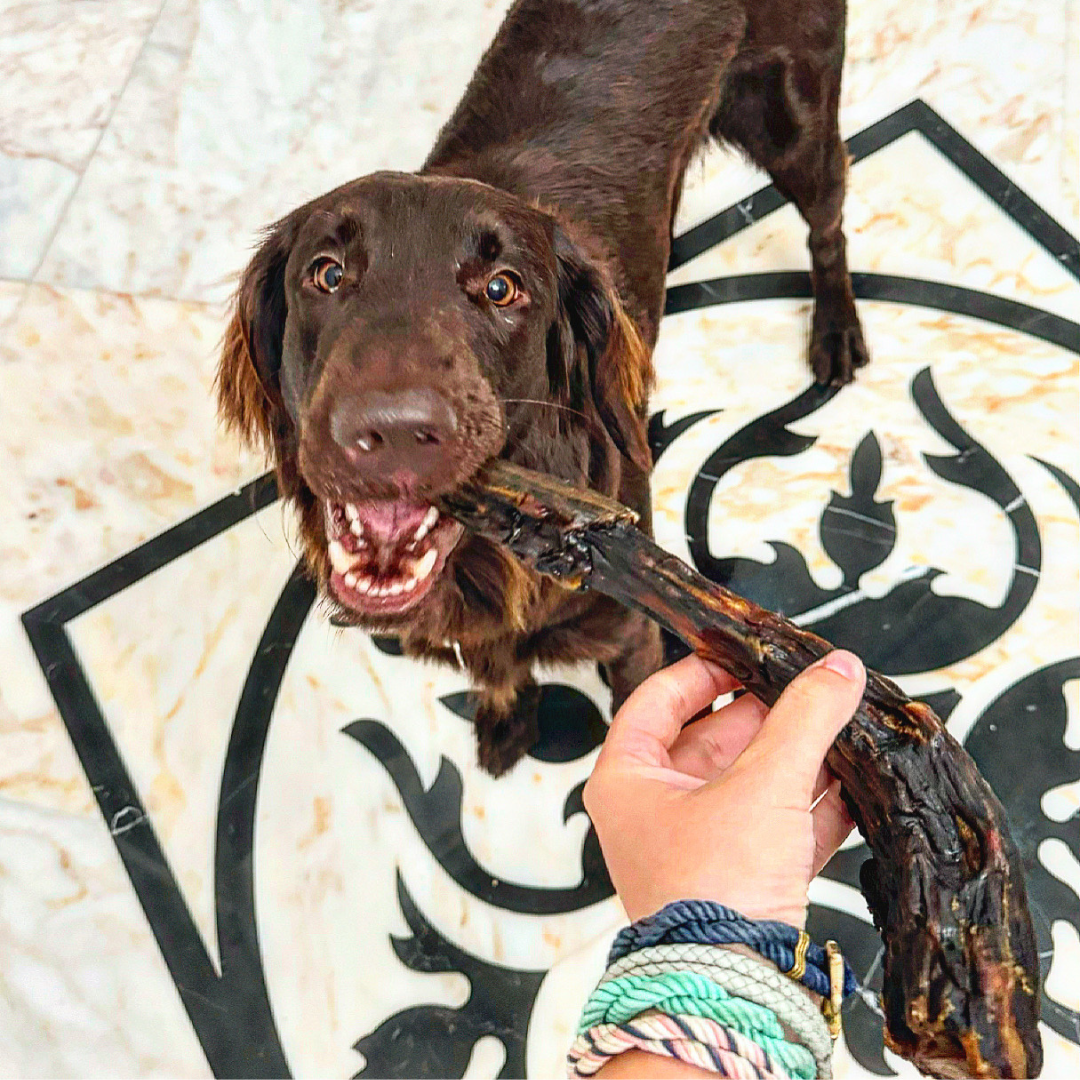 Horse tail- DV 7508 2 pics - 400G