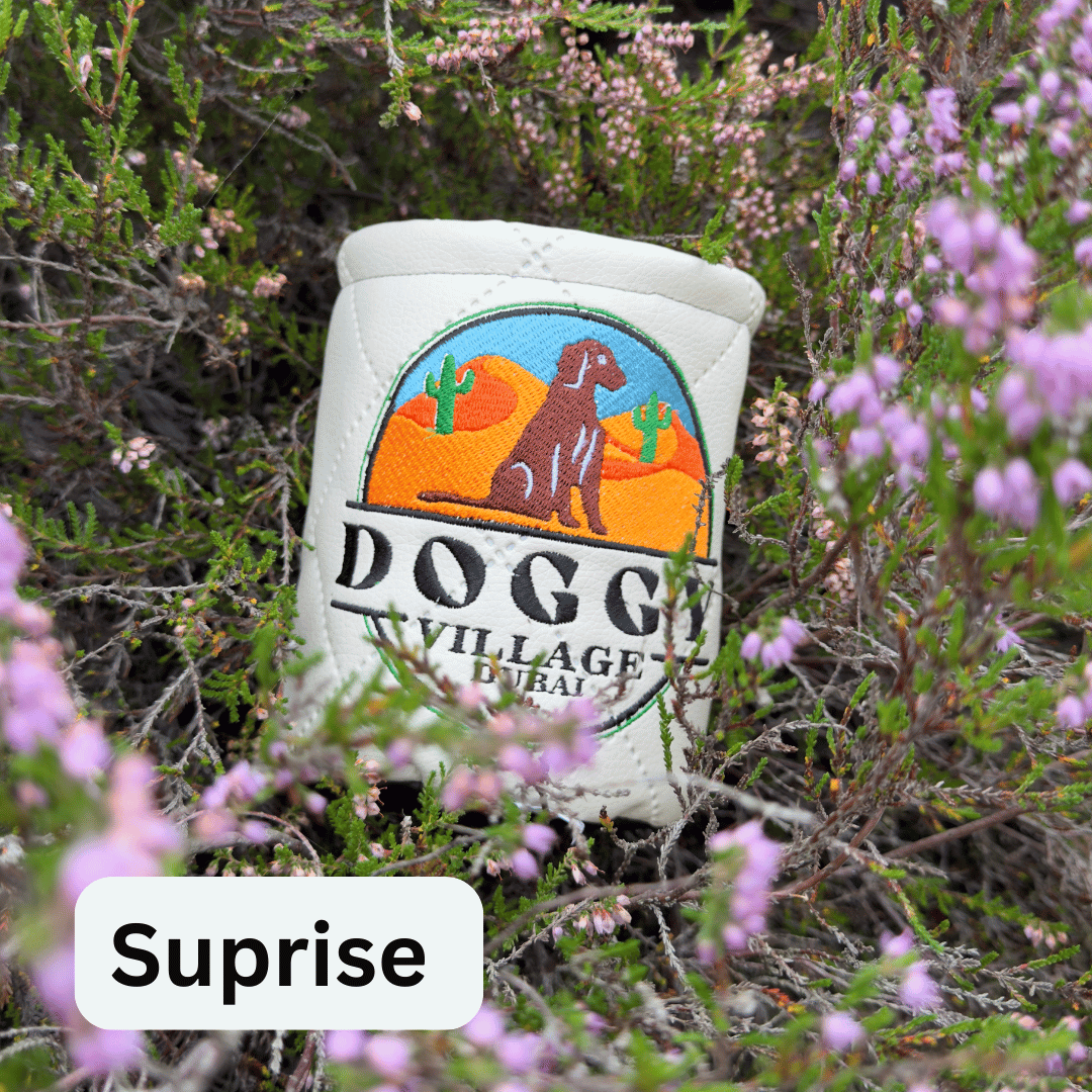 BIG DOG BUNDEL SET WITH FOOD