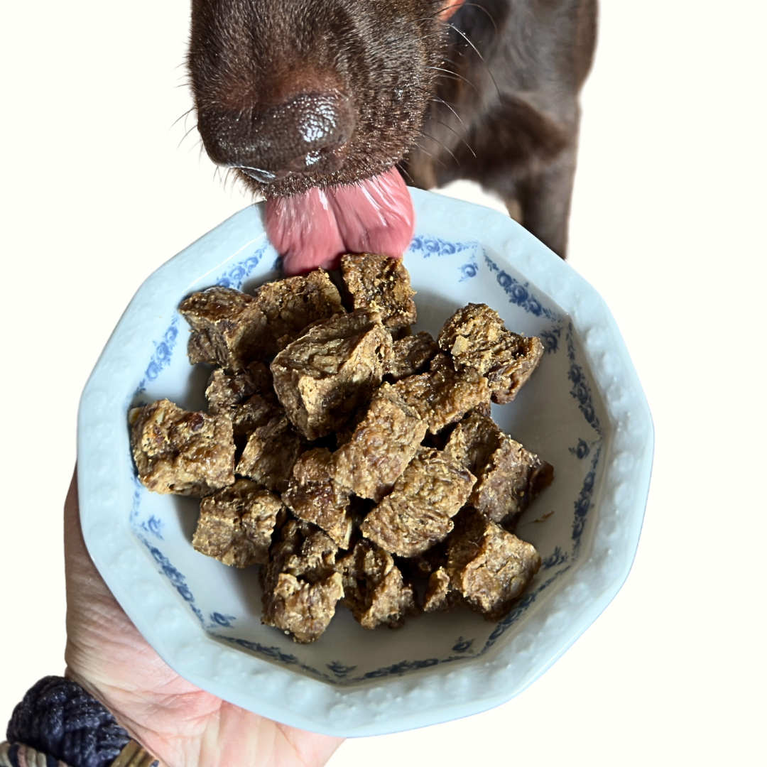 BIG DOG BUNDEL SET WITH FOOD