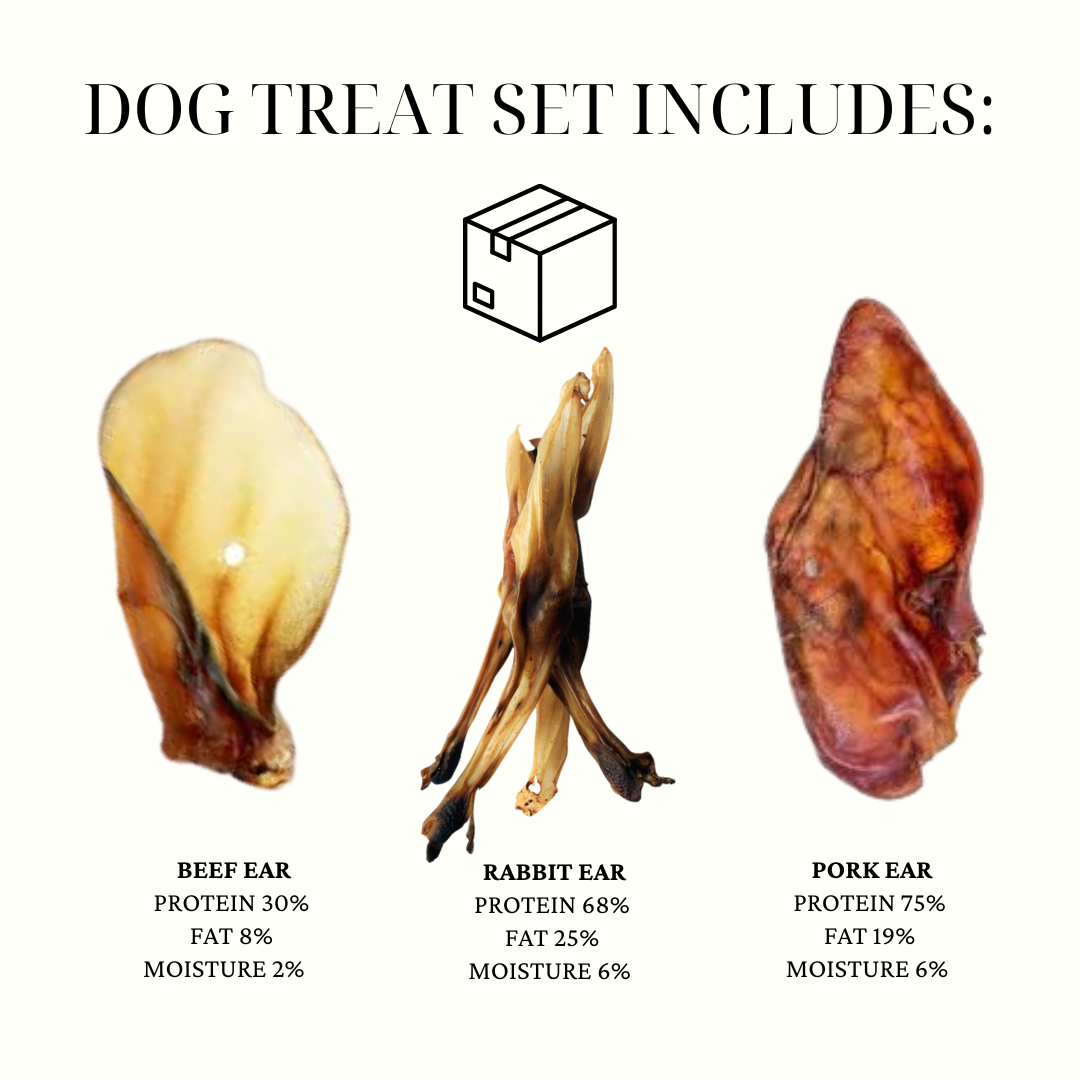 BIG DOG BUNDEL SET WITH FOOD