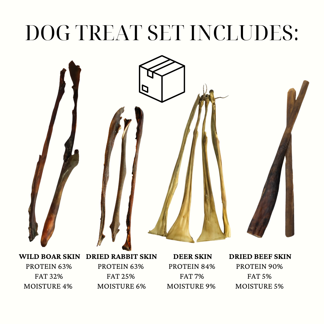 BIG DOG CHEWS AND TREAT SET