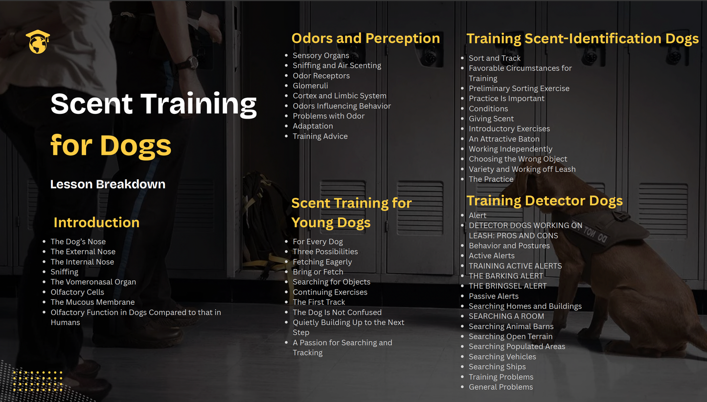 From Beginner To Nose Work Pro - Train Your Dog's Sense of Smell Workshop