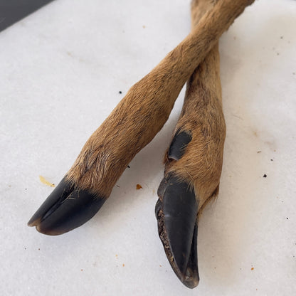 Deer leg with fur - DV 7509 2 pice - 250G