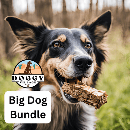 BIG DOG CHEWS AND TREAT SET