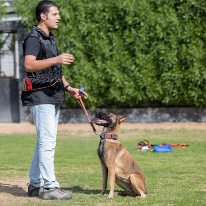 Online Consultation Lesson with Captain Mohammed Ali