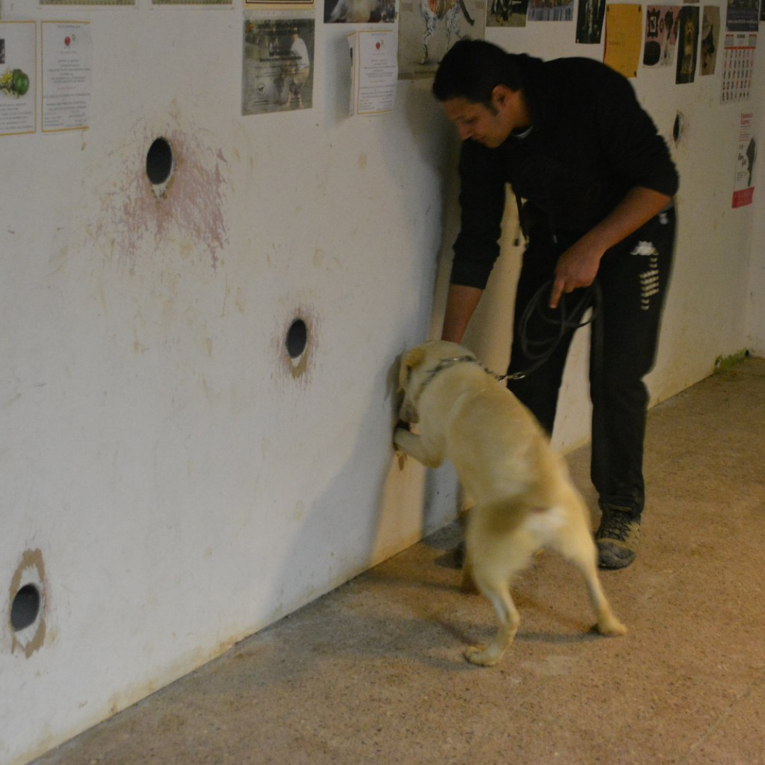 Online Consultation Lesson with Captain Mohammed Ali