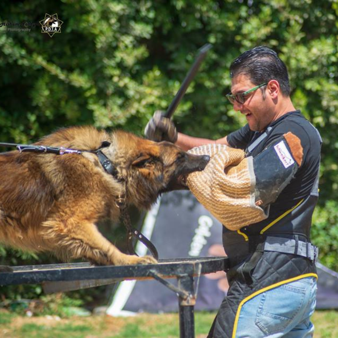 Online Consultation Lesson with Captain Mohammed Ali