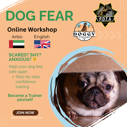 Dog Fear - Online Workshop