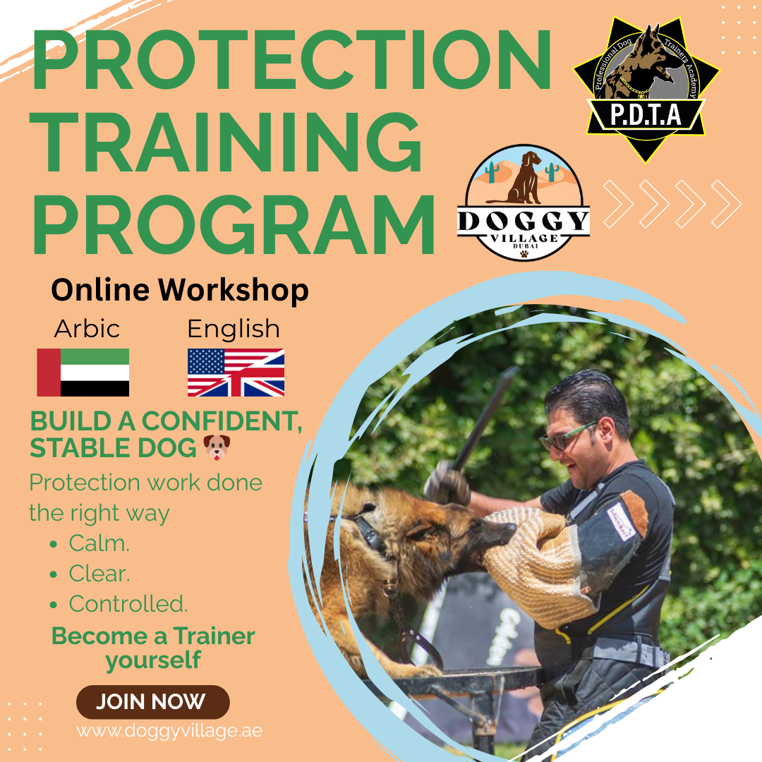Protection Training Program – Doggy Village