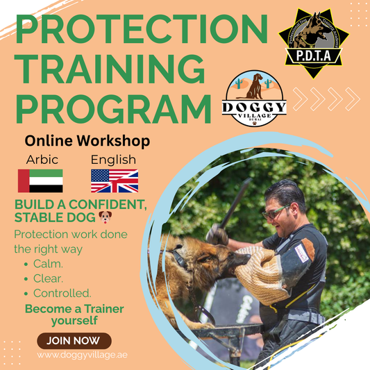 Protection Training Program