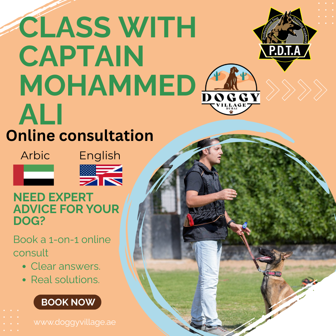 Online Consultation Lesson with Captain Mohammed Ali