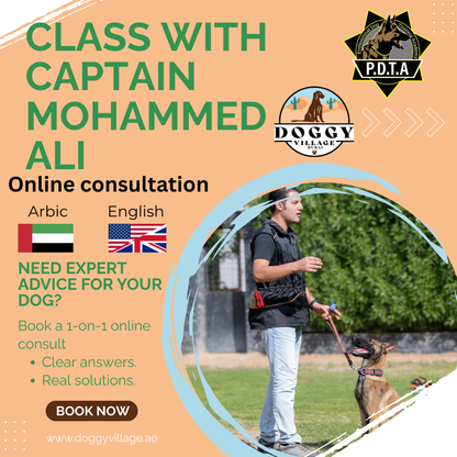 Online Consultation Lesson with Captain Mohammed Ali