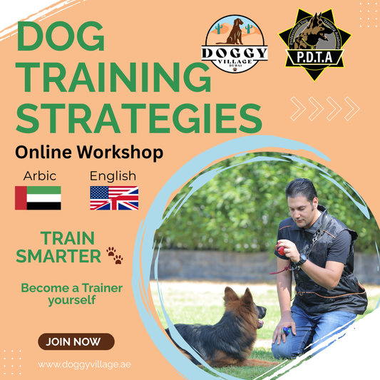 Dog Training Strategies