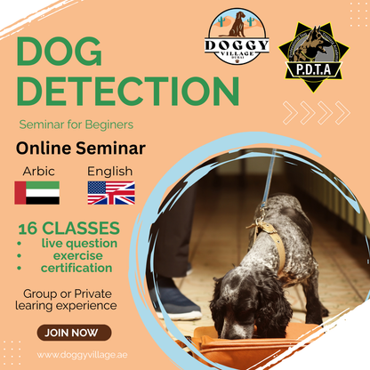 From Beginner To Nose Work Pro - Train Your Dog's Sense of Smell Workshop