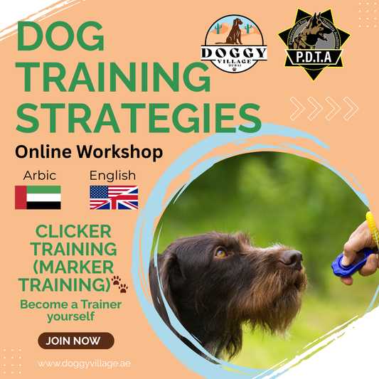 Clicker training - Traing Strategies