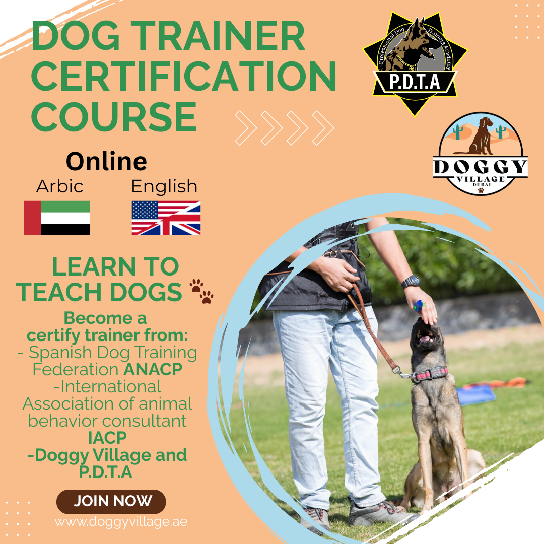 Dog Trainer Certification Program
