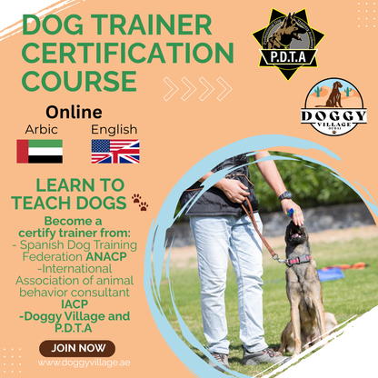 Dog Trainer Certification Program