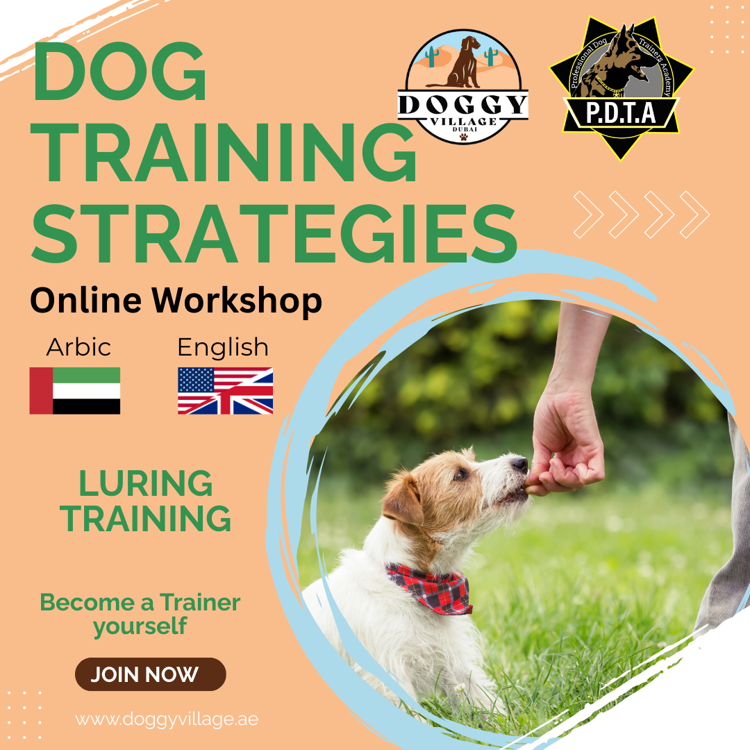 Traing Strategies Course - ALL