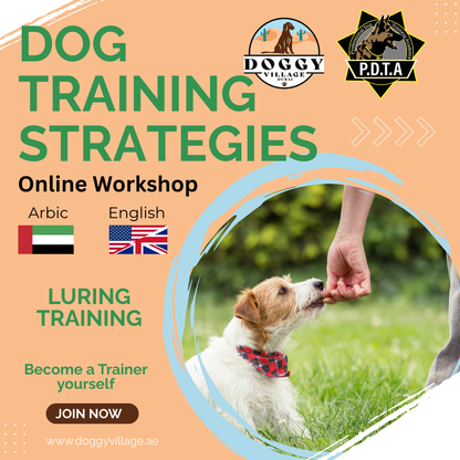 Traing Strategies Course - ALL