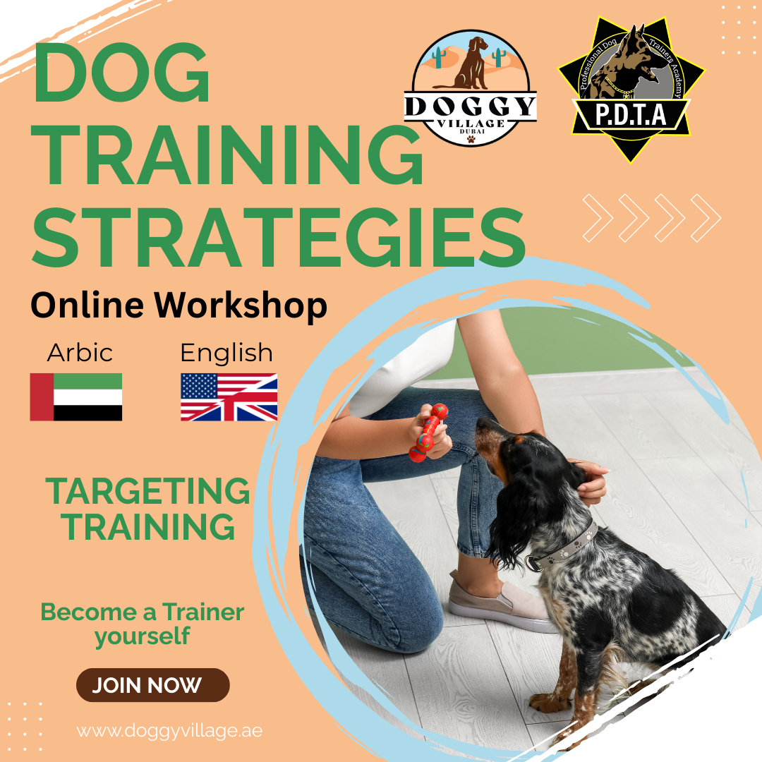 Traing Strategies Course - ALL