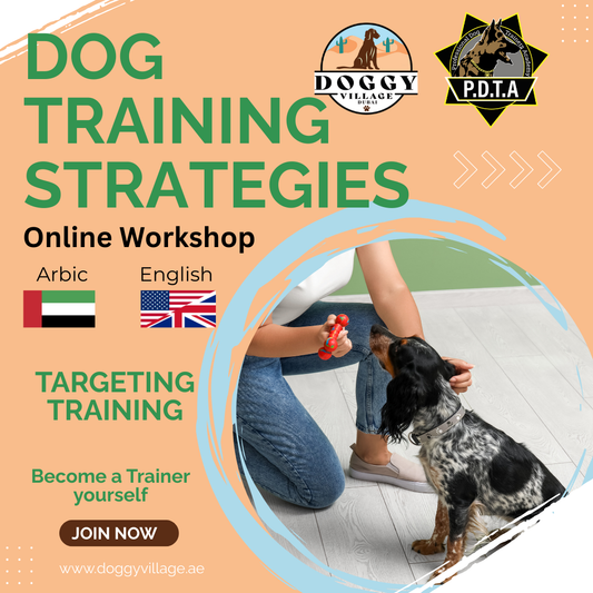 Targeting training - Traing Strategies