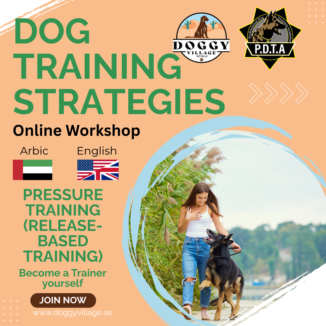 Pressure Training  - Traing Strategies