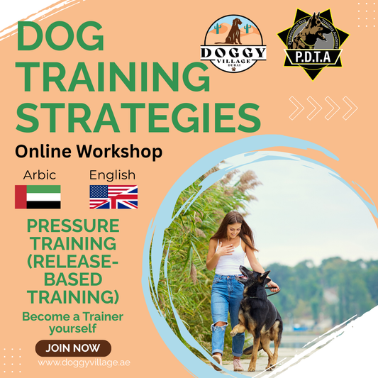 Pressure Training  - Traing Strategies