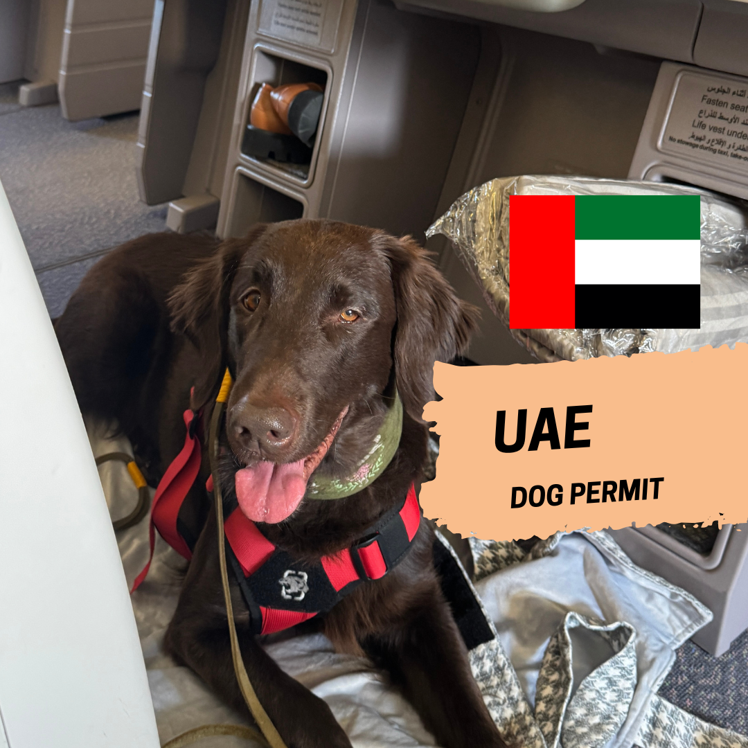 Import or Export permit for UAE Help