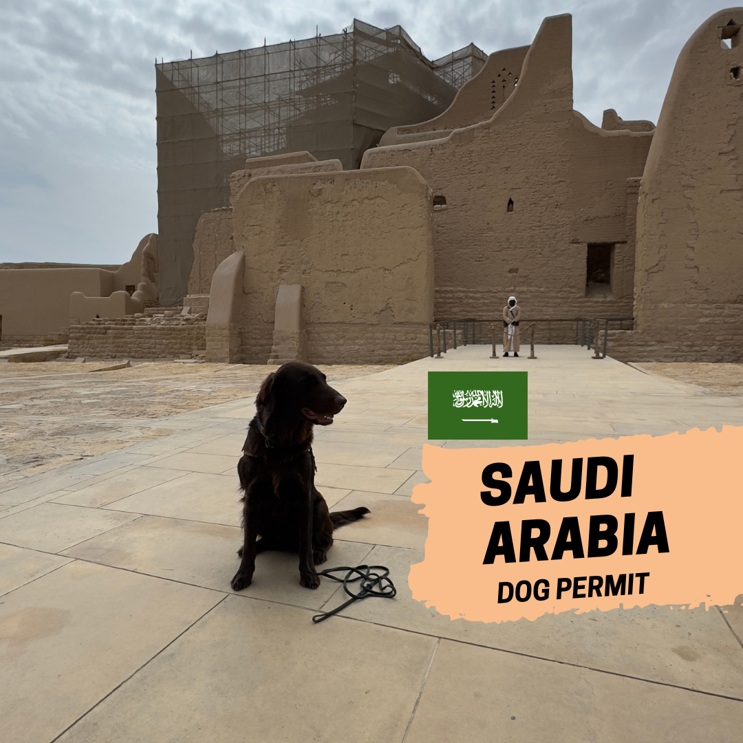 Saudi Arabia Pet Permit