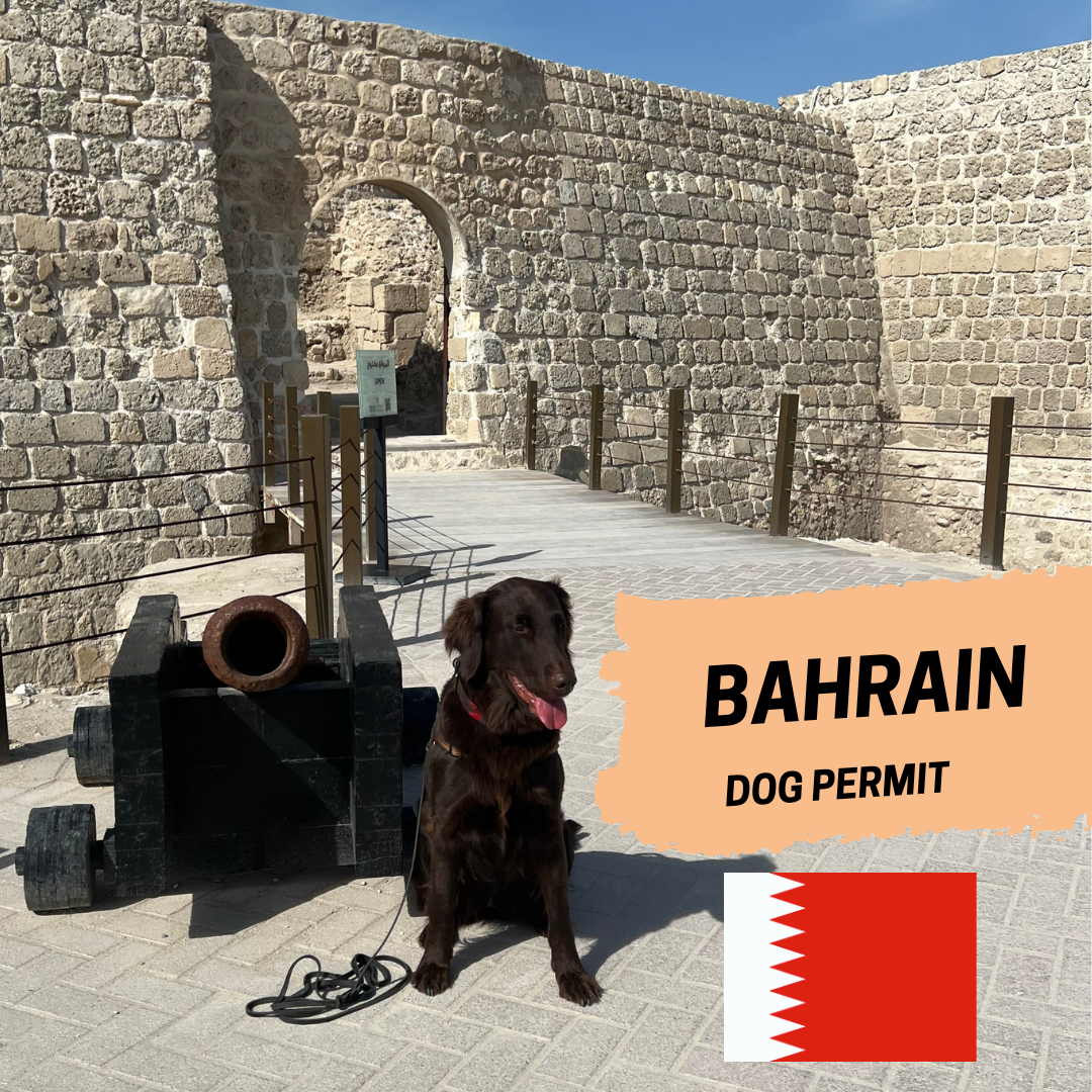 Bahrain Import/ export permit