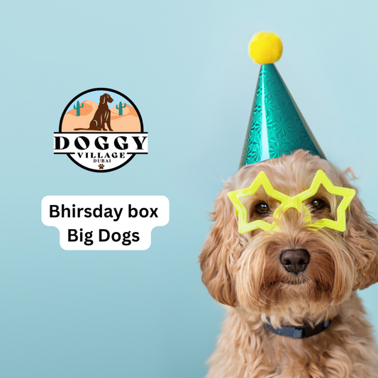 Birthday Box Big dog