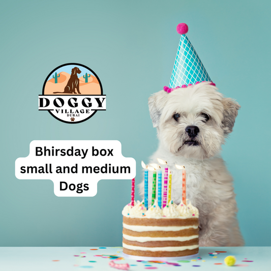 Birthday Box Small dog