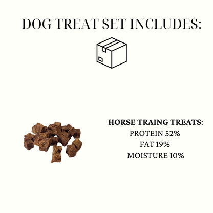 BIG DOG CHEWS AND TREAT SET