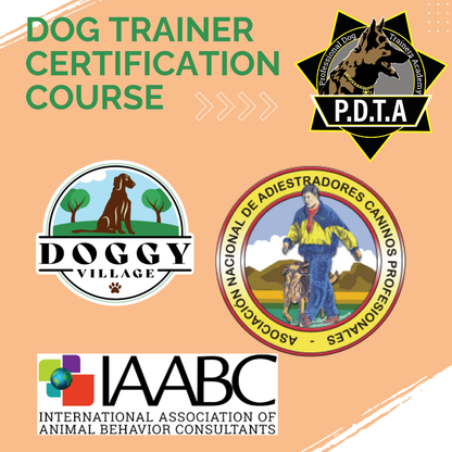 Dog Trainer Certification Program