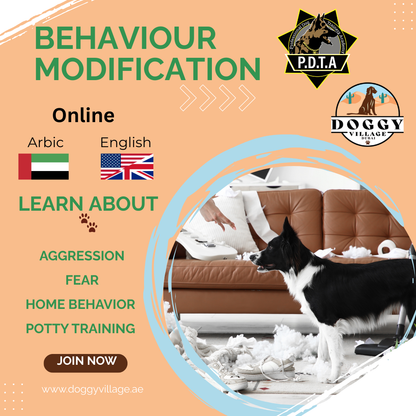 Behavior Modification - ALL
