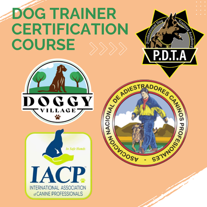 Dog Trainer Certification Program