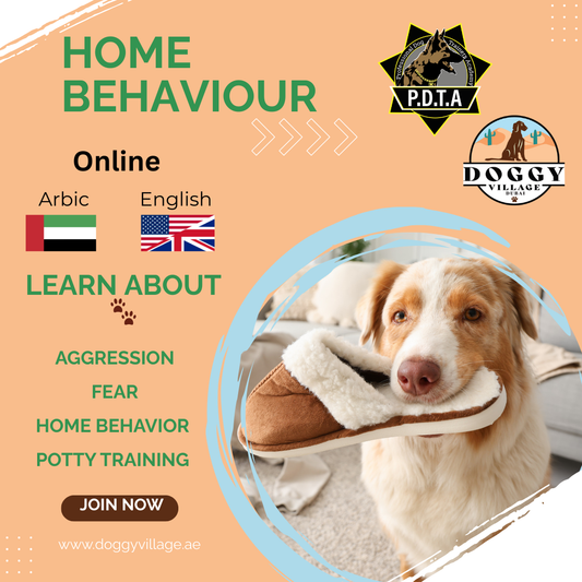 Home Behavior Course