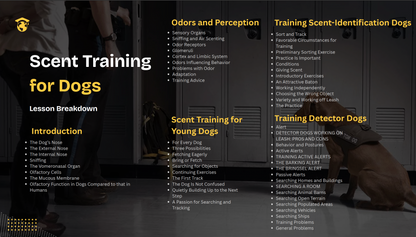 From Beginner To Nose Work Pro - Train Your Dog's Sense of Smell Workshop